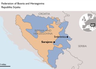 The Srebrenica Genocide Resolution: Local and Regional Reflections