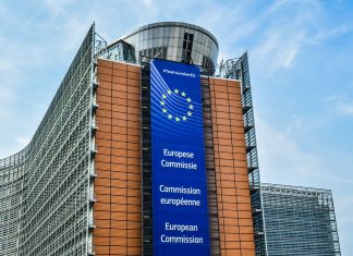 European Council meeting (17 October 2024) and the Western Balkans perspective