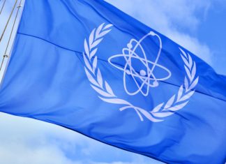 Prospects for the establishment of a Nuclear-Weapon-Free Zone in the Black Sea Region