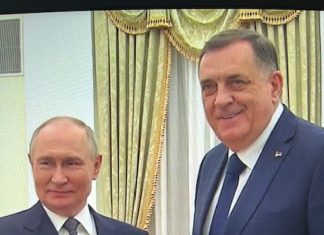Milorad Dodik seeks support from Putin