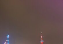 First Overseas Investment Fair: Building bridges for global investment cooperation