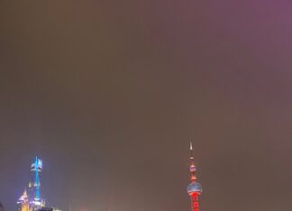 First Overseas Investment Fair: Building bridges for global investment cooperation