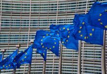 EU Enlargement: Between Geopolitical Ambition and Economic Reality