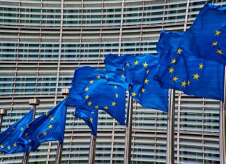 EU Enlargement: Between Geopolitical Ambition and Economic Reality